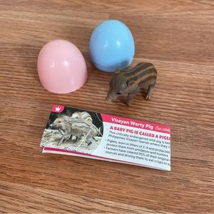 🔴 Visayan Warty Pig Yowie